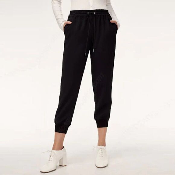 Aritzia Wilfred Buffon Black Elastic Waist Crepe Jogger Style Pants - Picture 1 of 9